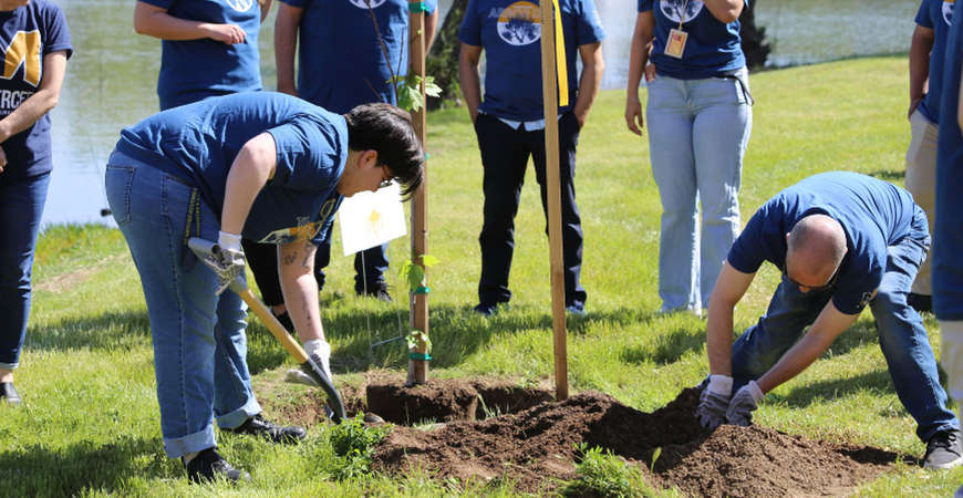 UC Merced staff plant a tree