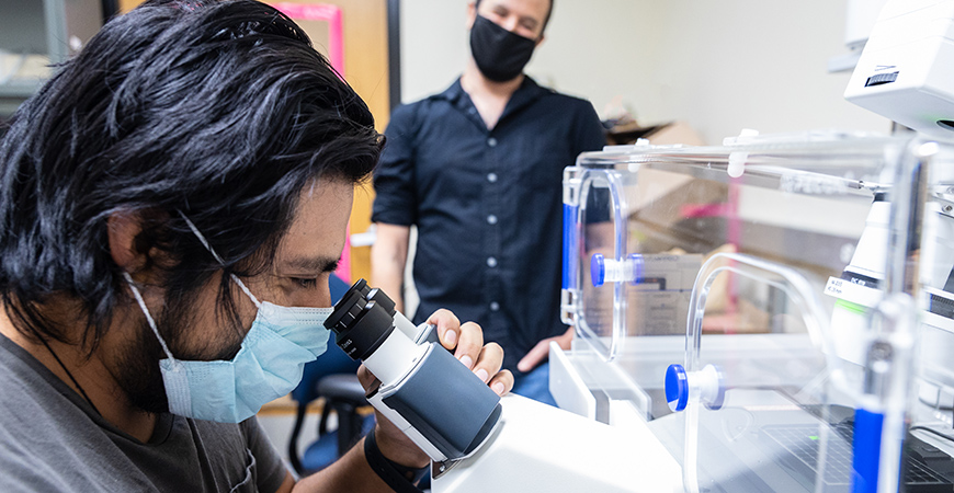 Two male researchers in a lab